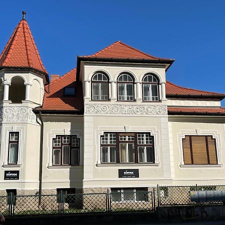 Vila Marioara Sibiu Eksteriør billede